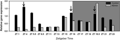 More Light Please: Daphnia Benefit From Light Pollution by Increased Tolerance Toward Cyanobacterial Chymotrypsin Inhibitors